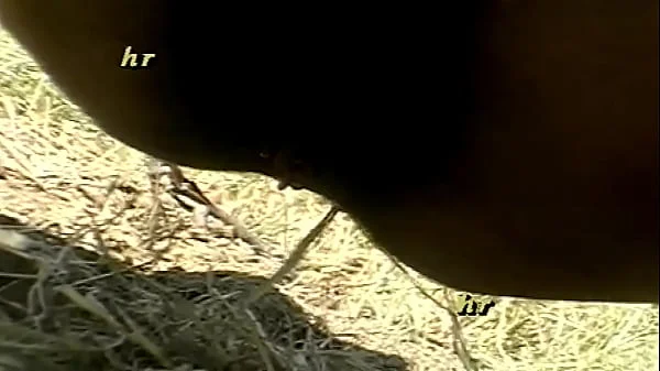 pissing videos